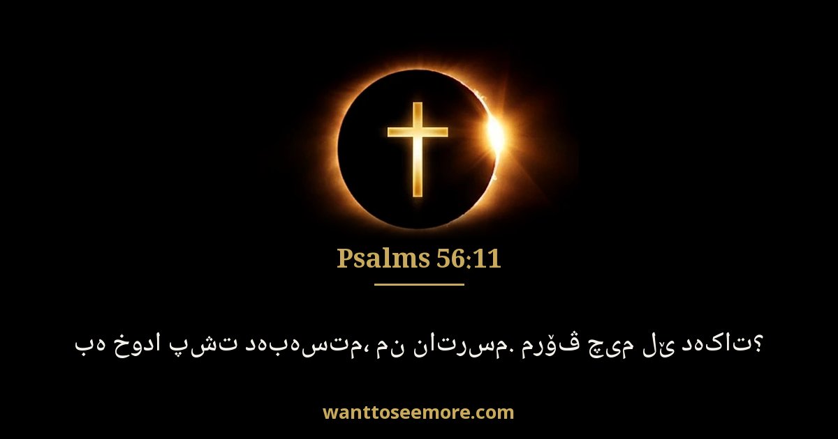 Psalms 56:11