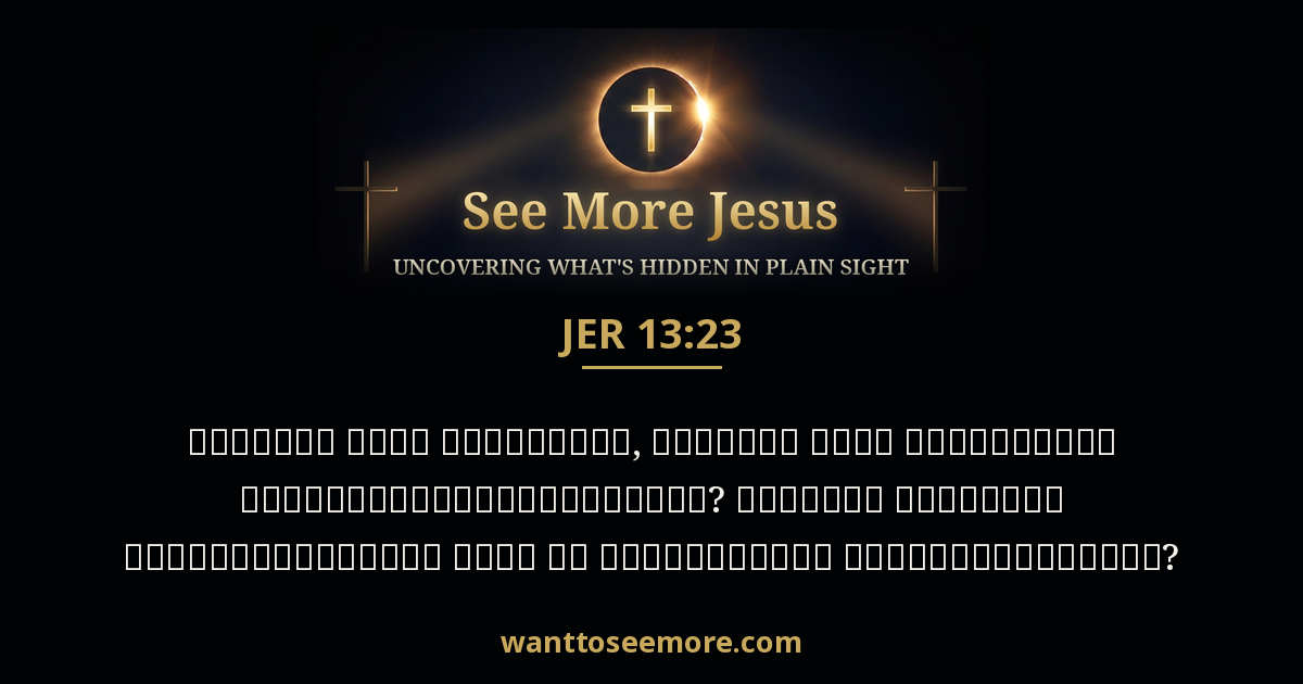 Jeremiah 13:23
