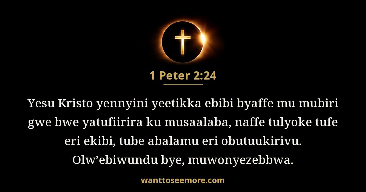 1 Peter 2:24