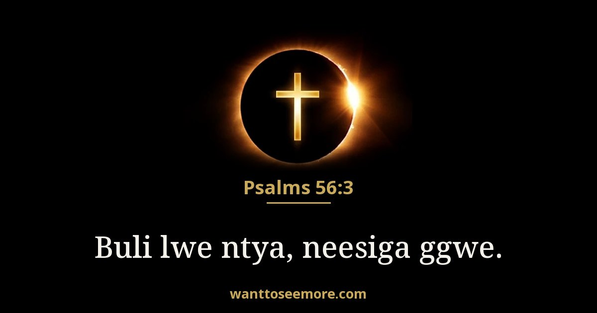 Psalms 56:3