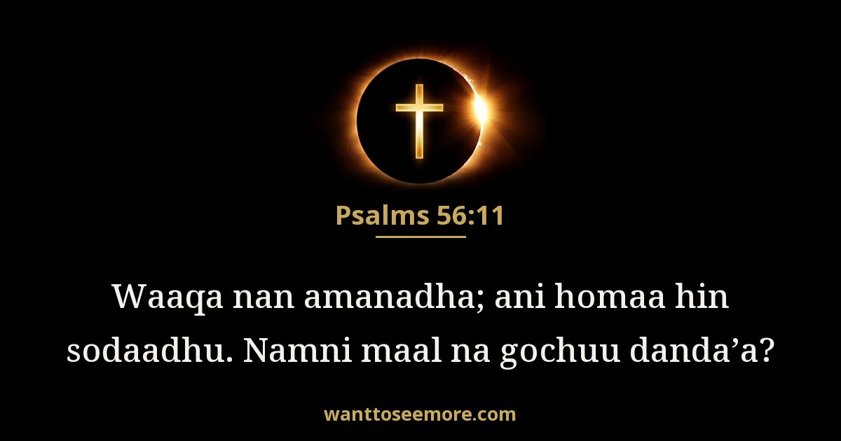 Psalms 56:11