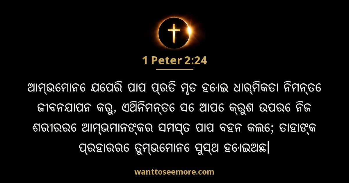 1 Peter 2:24