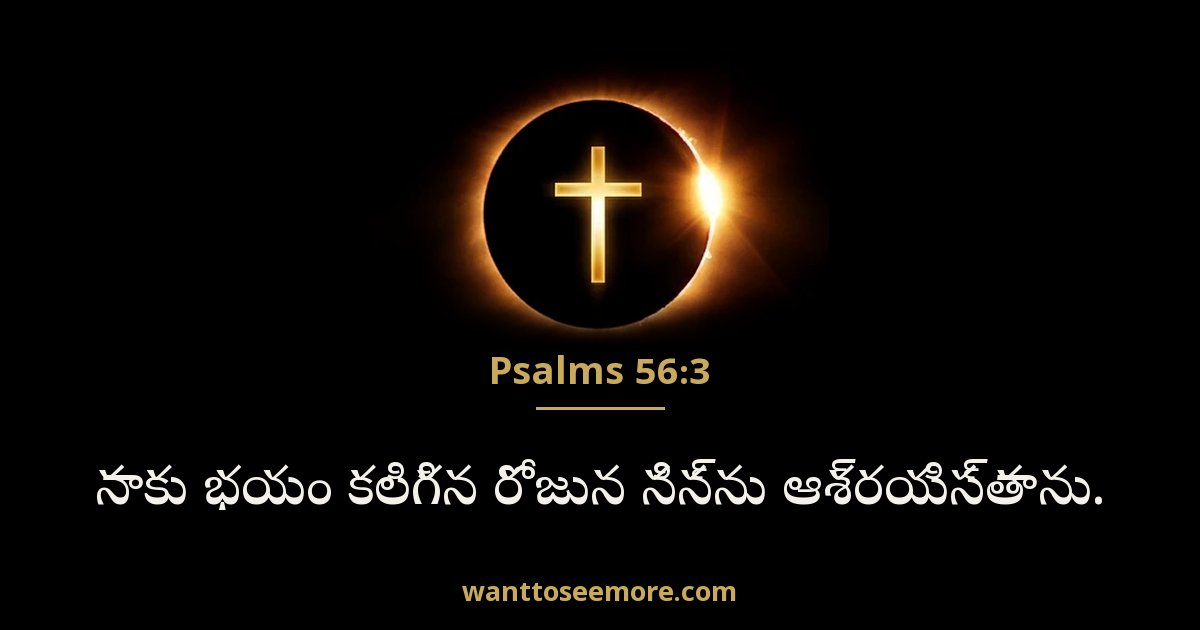 Psalms 56:3