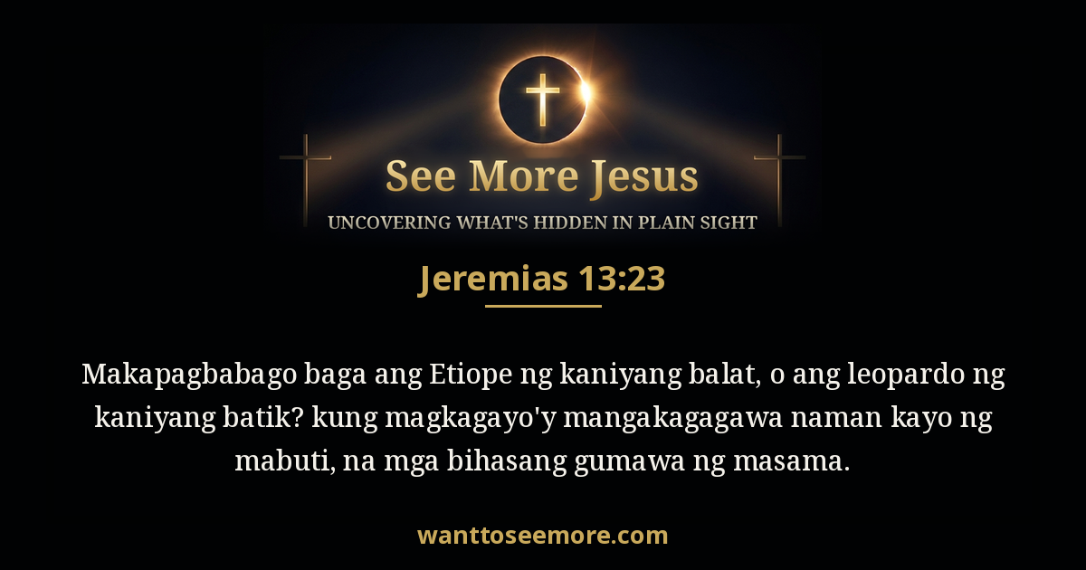 Jeremiah 13:23