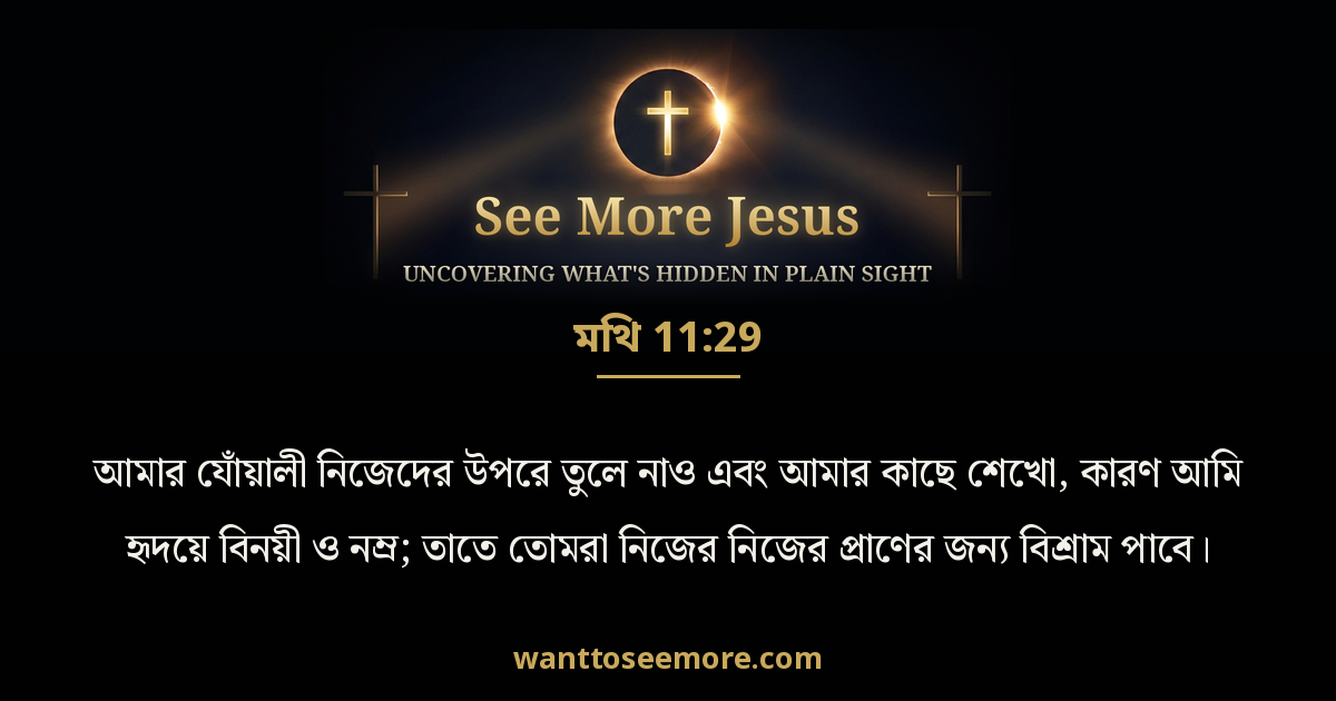 Matthew 11:29