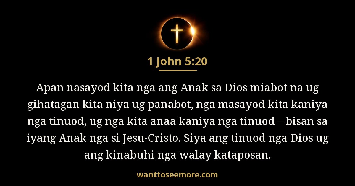 1 John 5:20