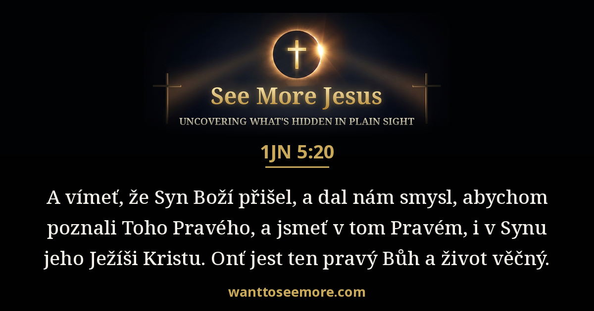 1 John 5:20