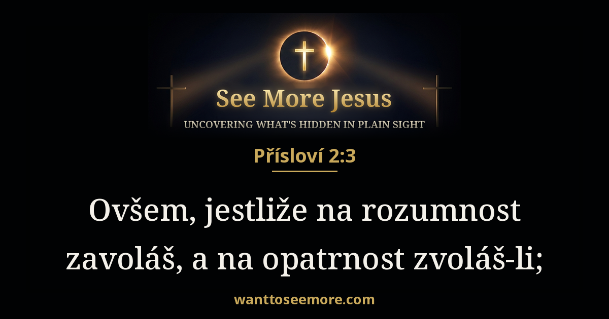 Proverbs 2:3