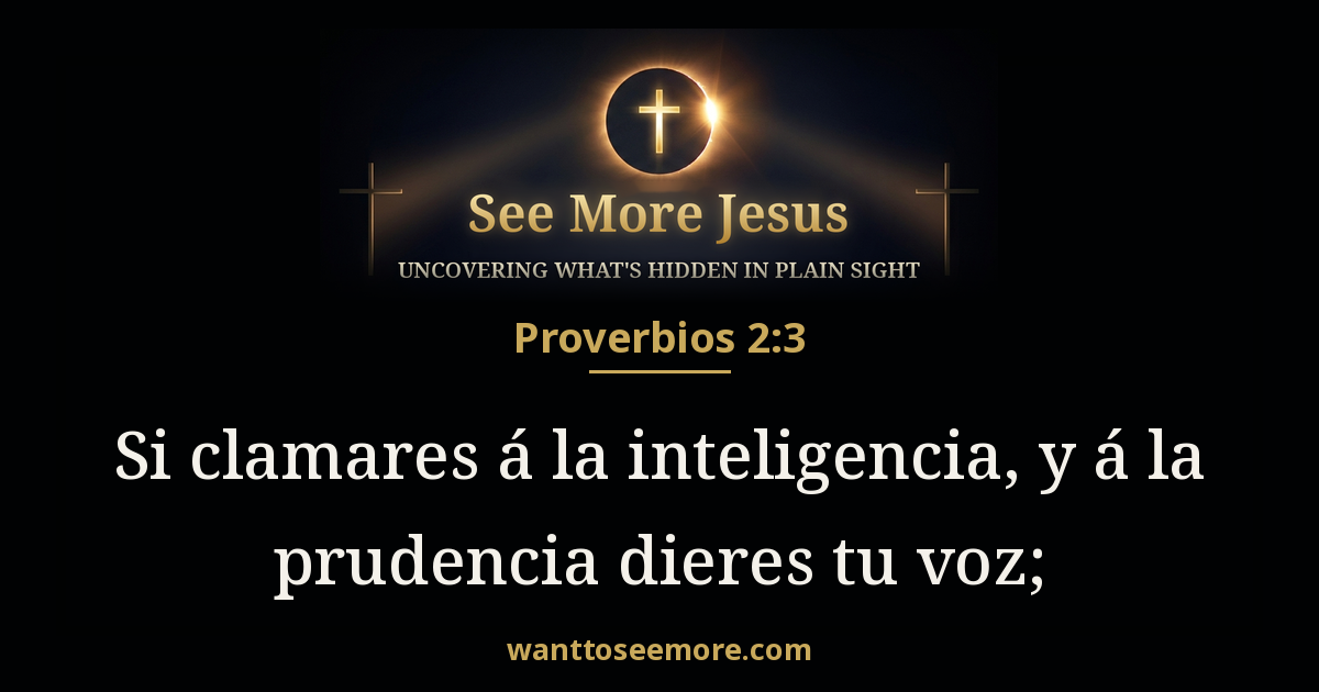 Proverbs 2:3
