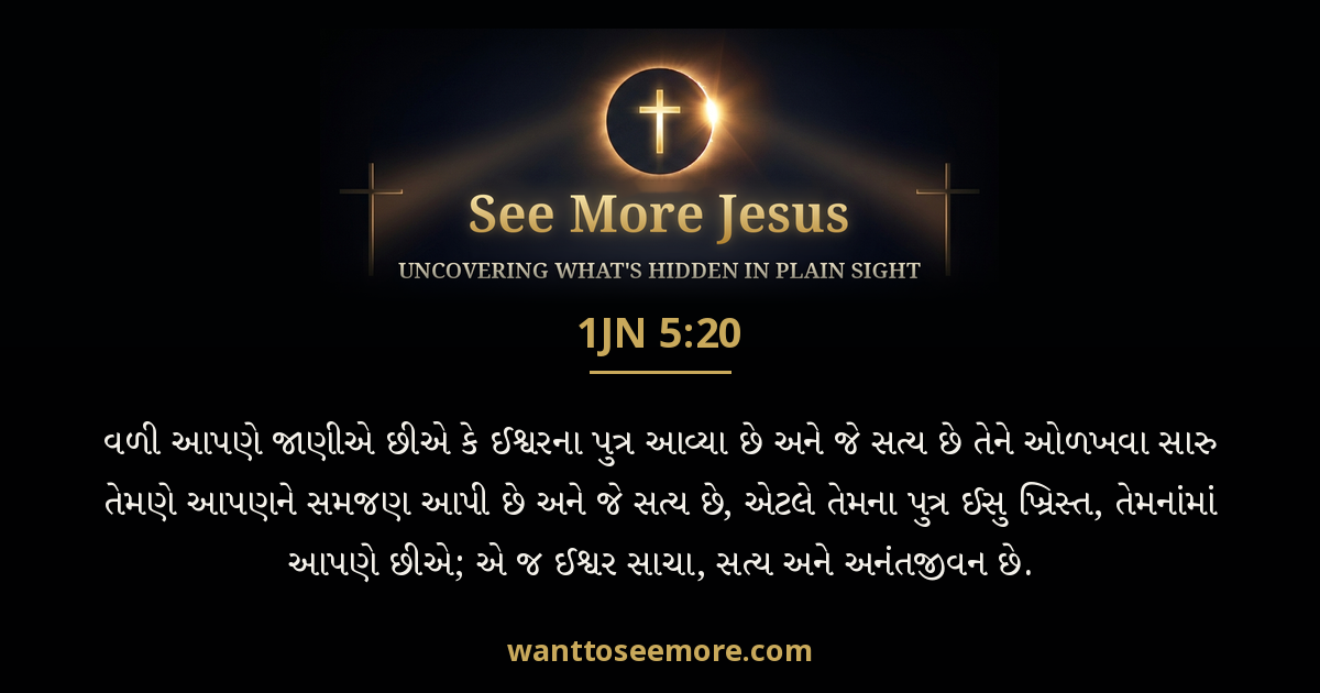 1 John 5:20