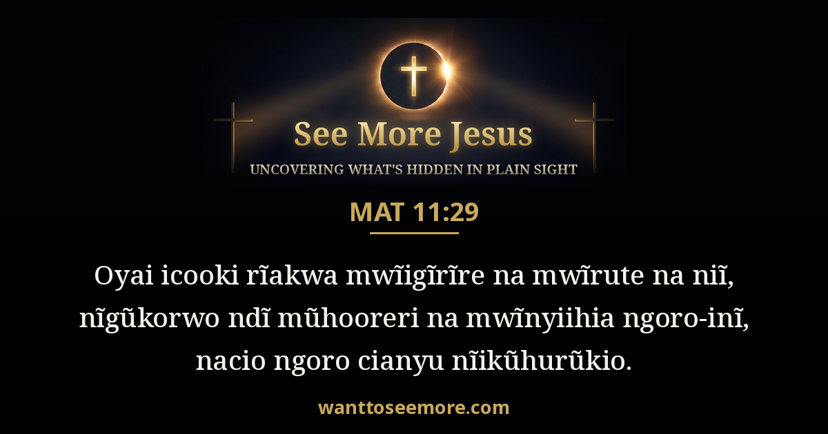 Matthew 11:29