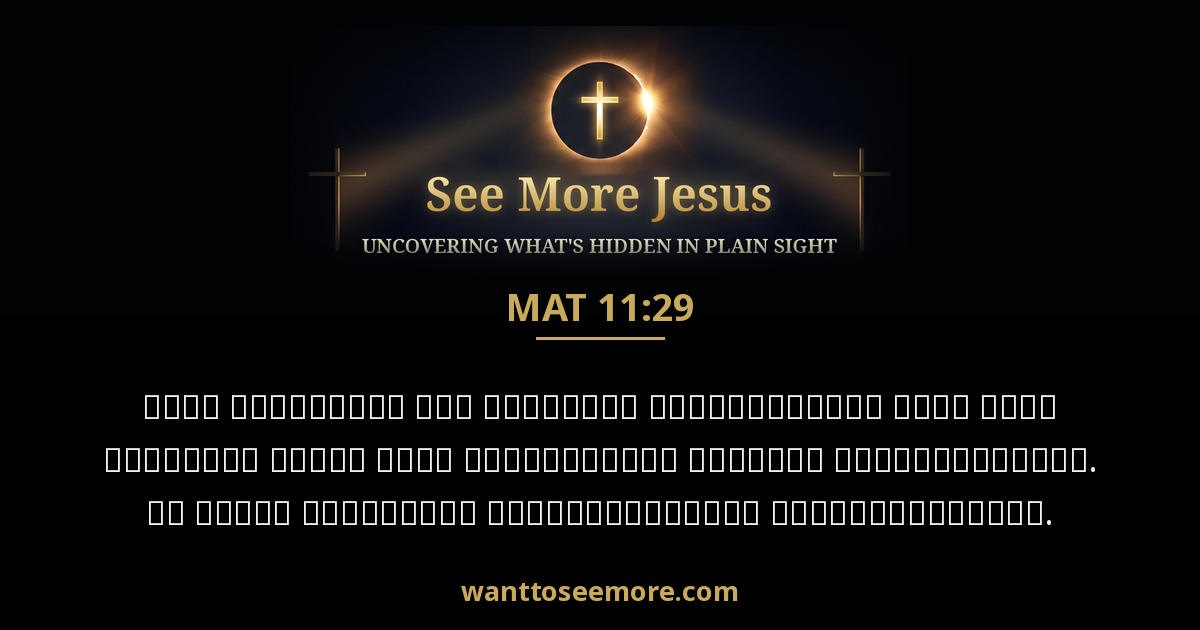 Matthew 11:29