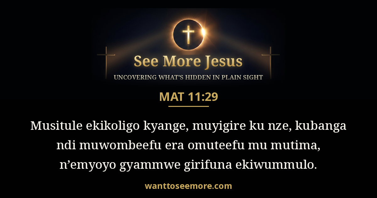 Matthew 11:29