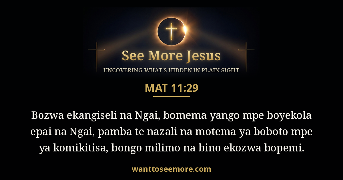 Matthew 11:29