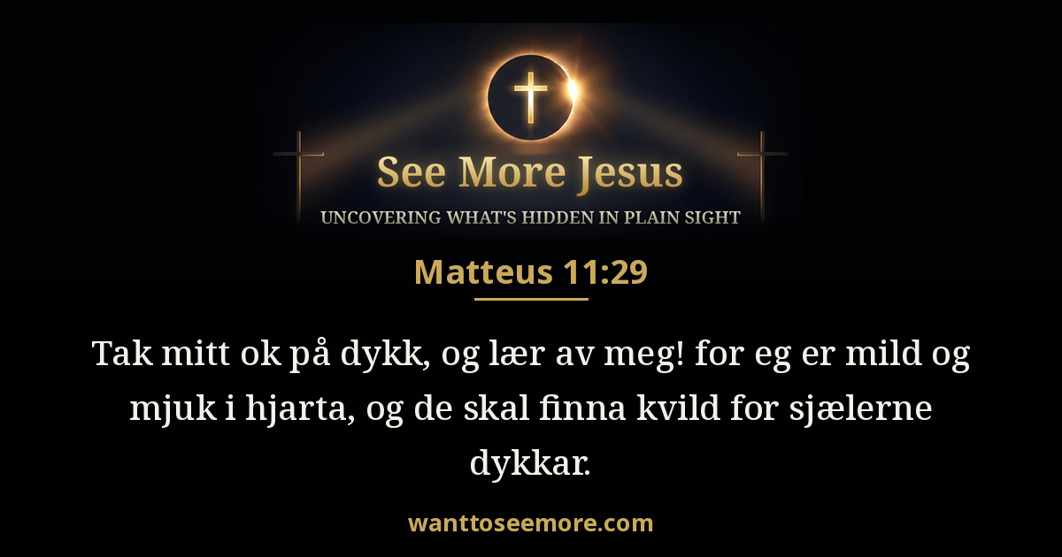 Matthew 11:29