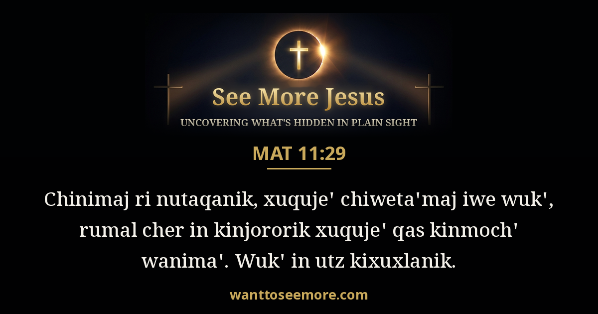 Matthew 11:29
