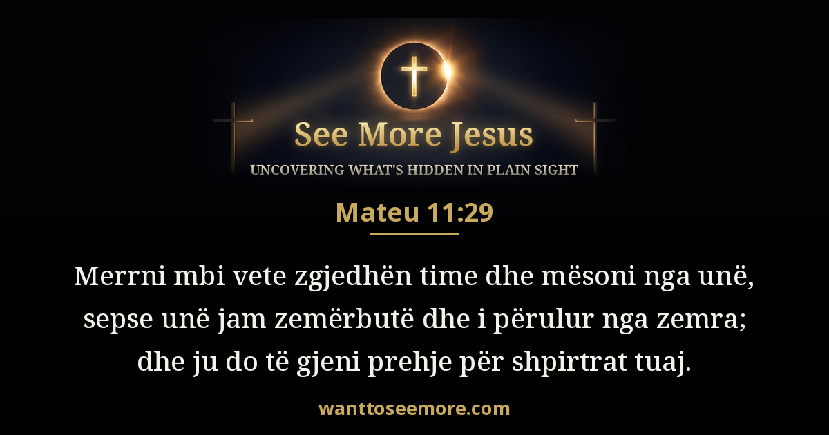 Matthew 11:29
