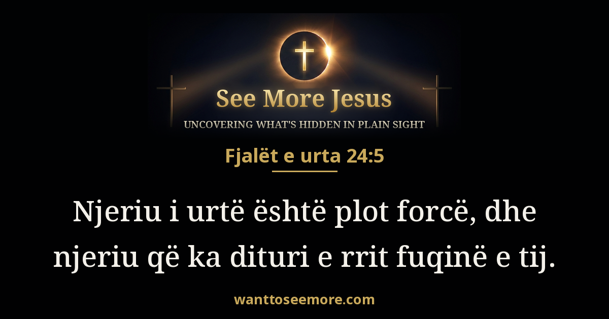 Proverbs 24:5