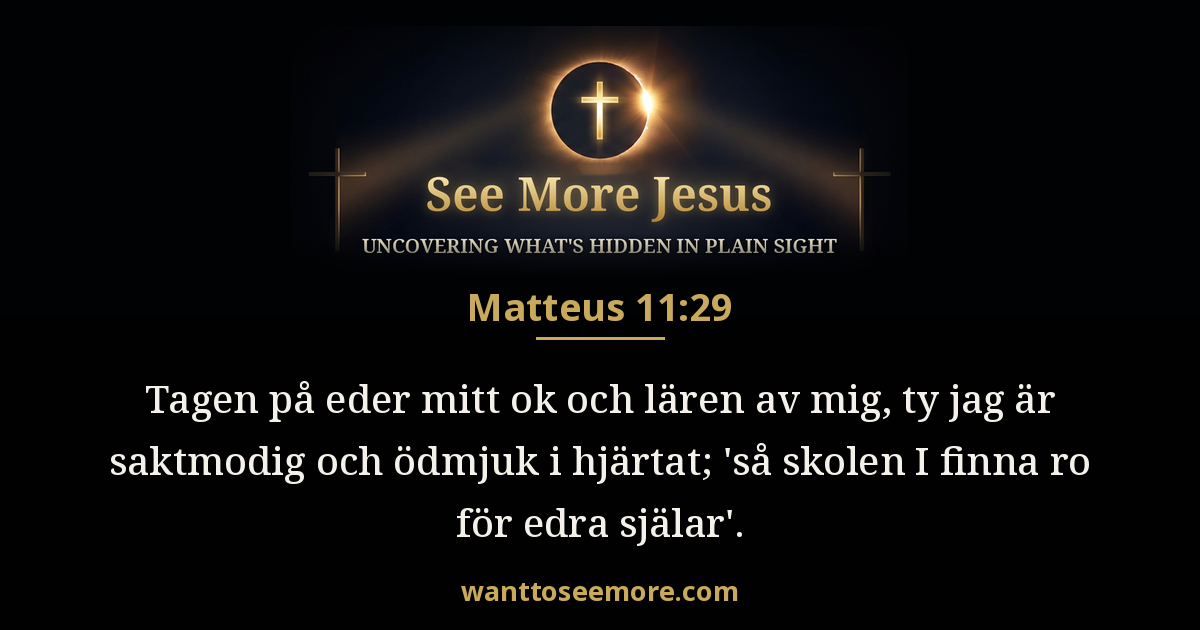 Matthew 11:29