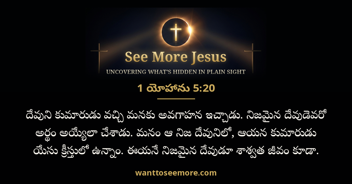 1 John 5:20