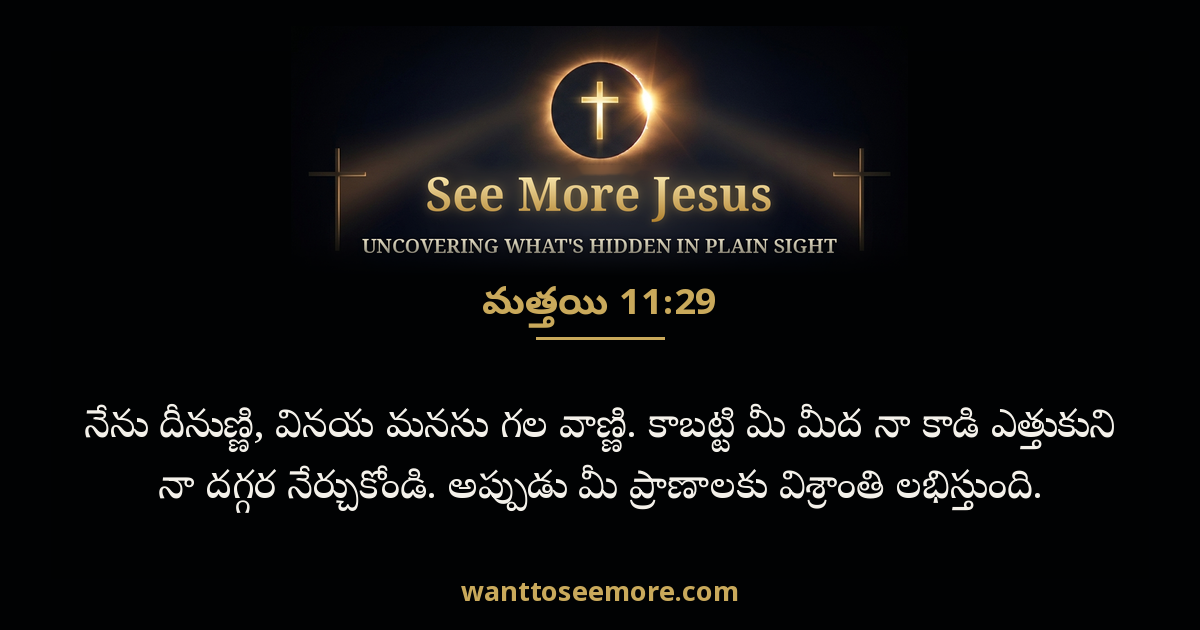 Matthew 11:29