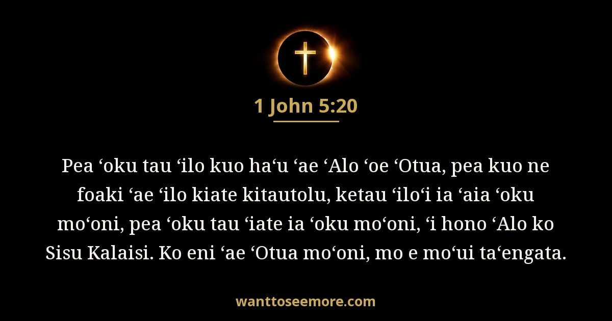 1 John 5:20