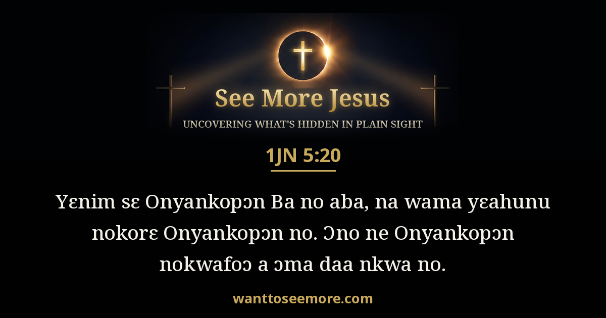 1 John 5:20