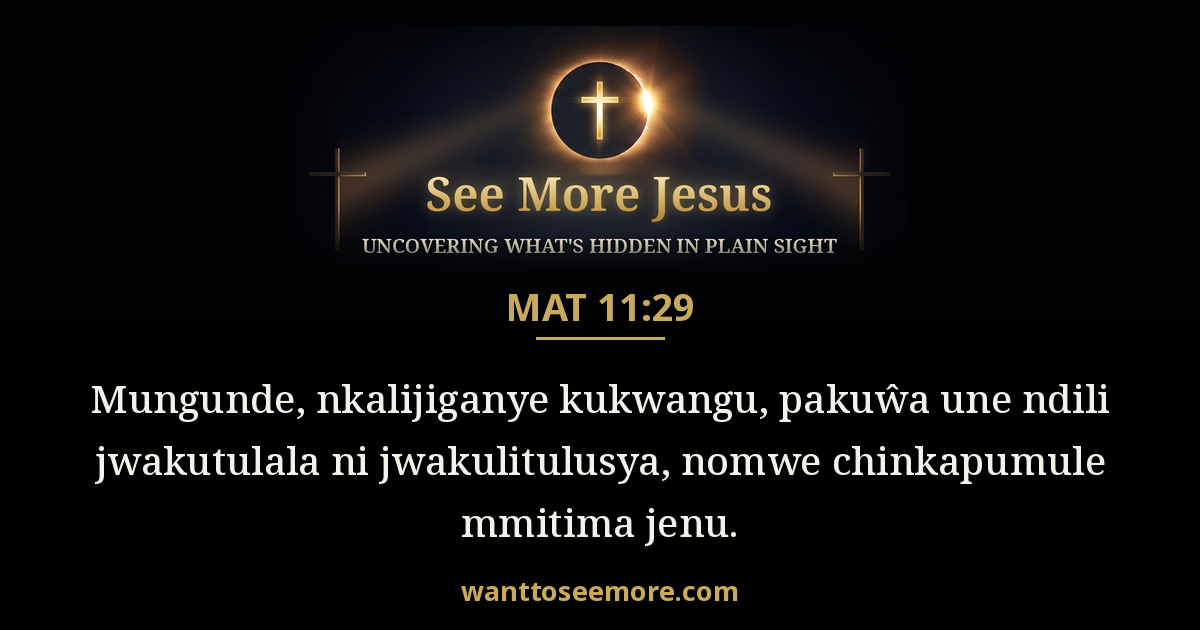 Matthew 11:29