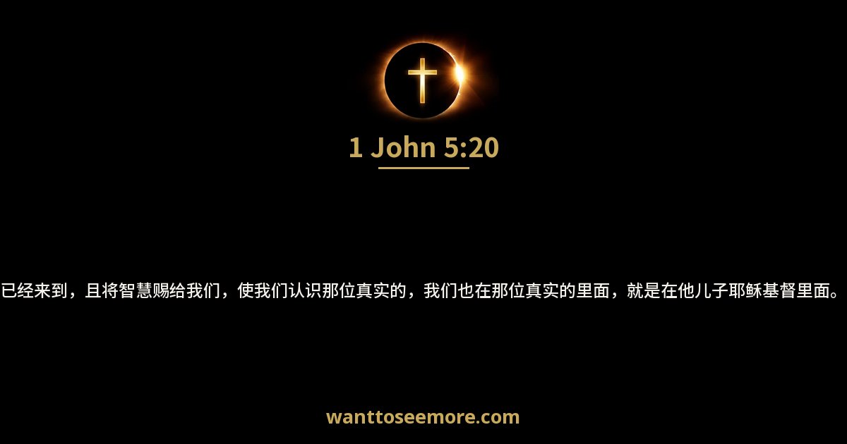 1 John 5:20