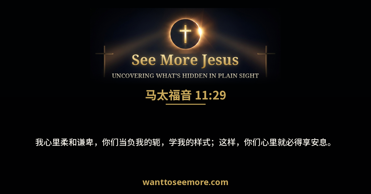 Matthew 11:29