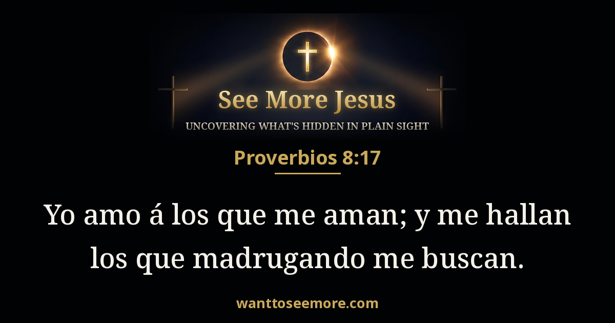 Proverbs 8:17
