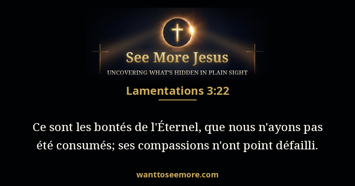 Lamentations 3:22