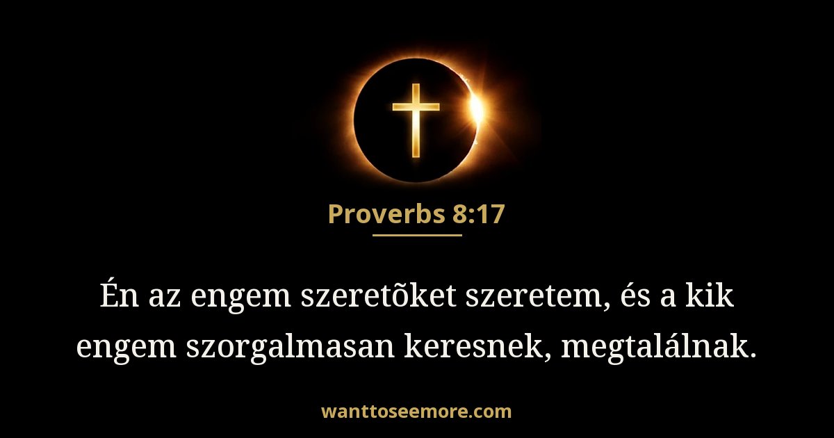 Proverbs 8:17
