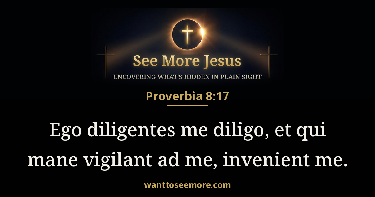 Proverbs 8:17