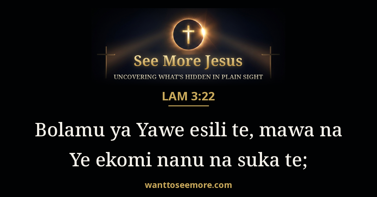Lamentations 3:22