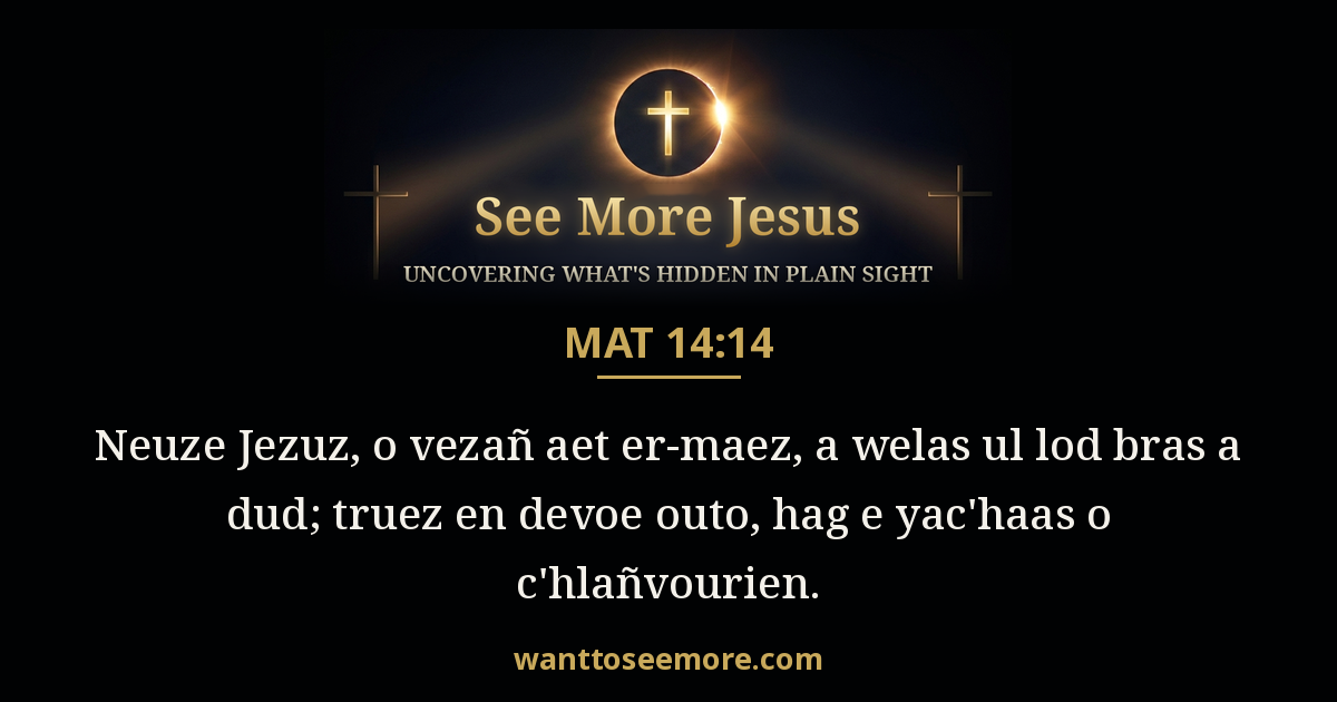 Matthew 14:14