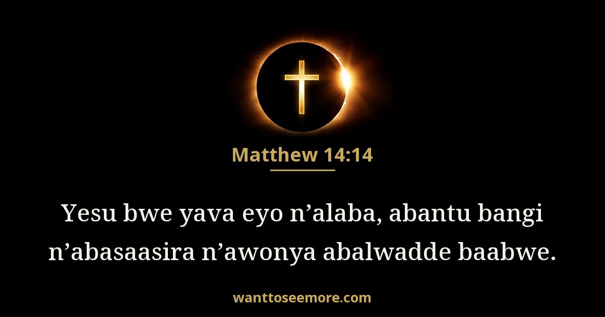 Matthew 14:14