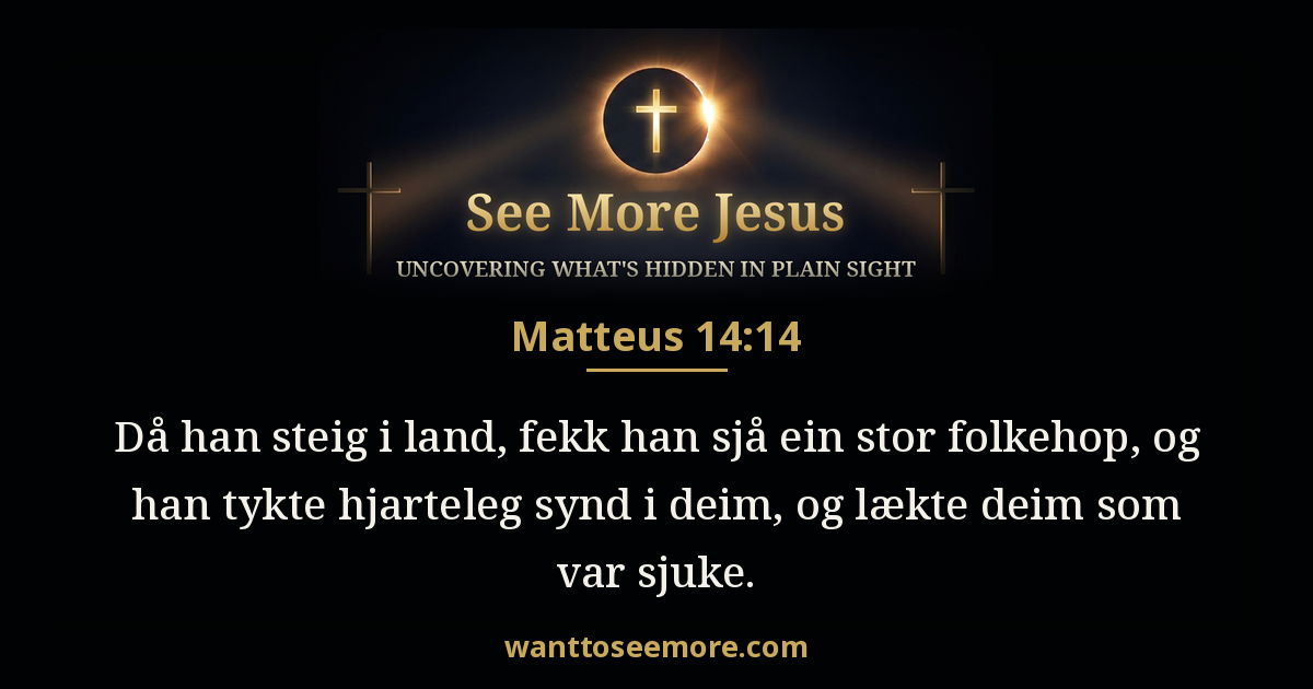 Matthew 14:14