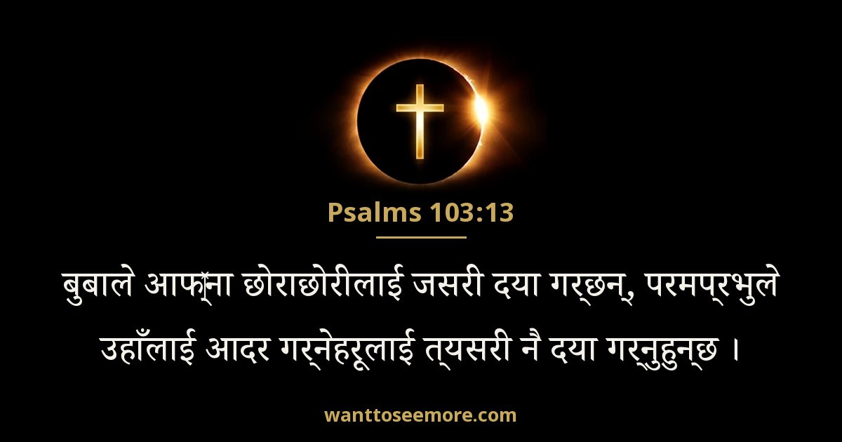 Psalms 103:13