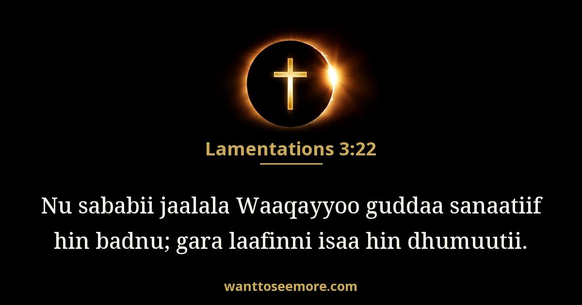 Lamentations 3:22