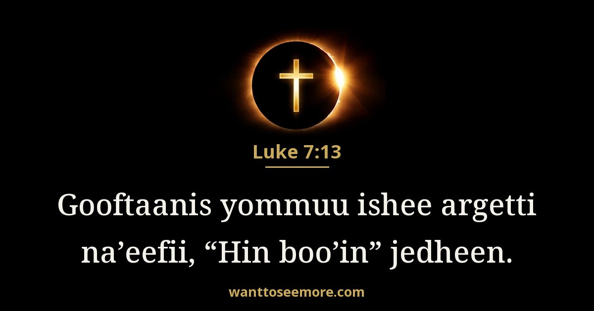 Luke 7:13