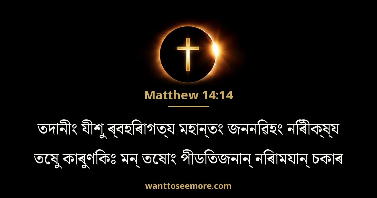 Matthew 14:14