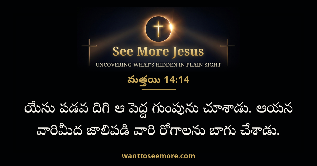 Matthew 14:14
