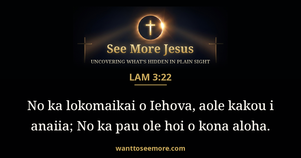 Lamentations 3:22