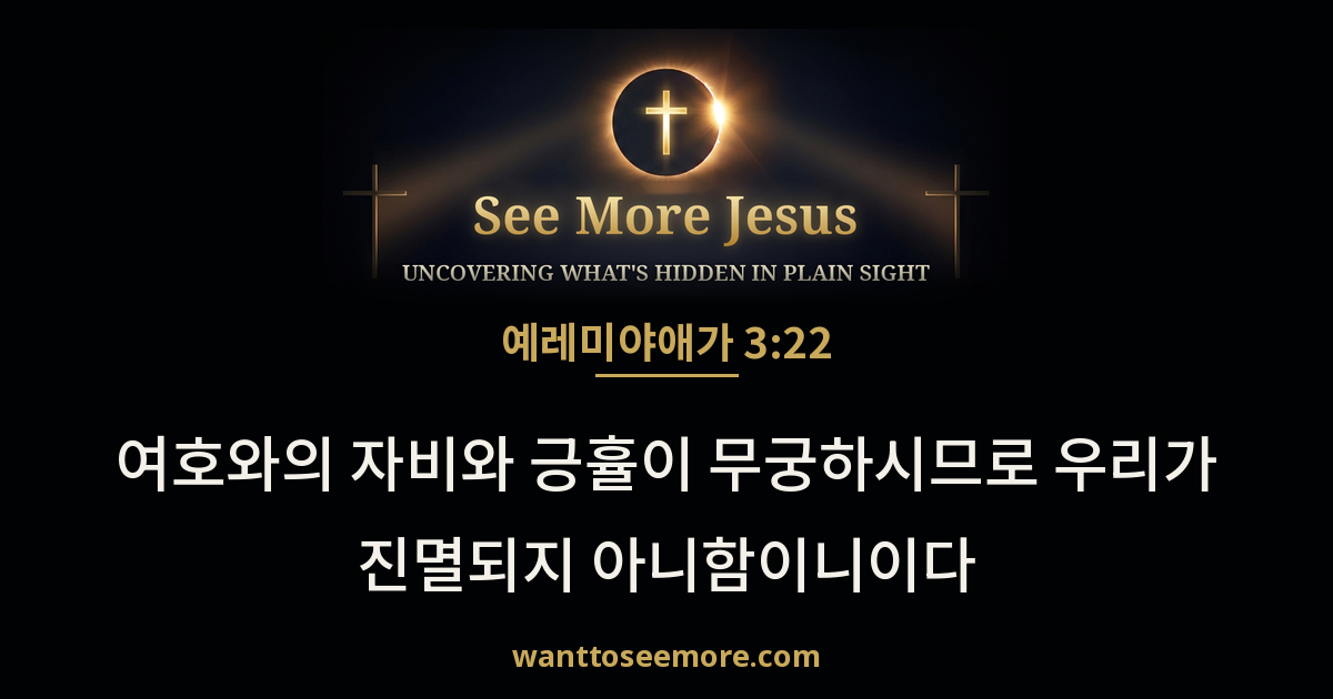 Lamentations 3:22