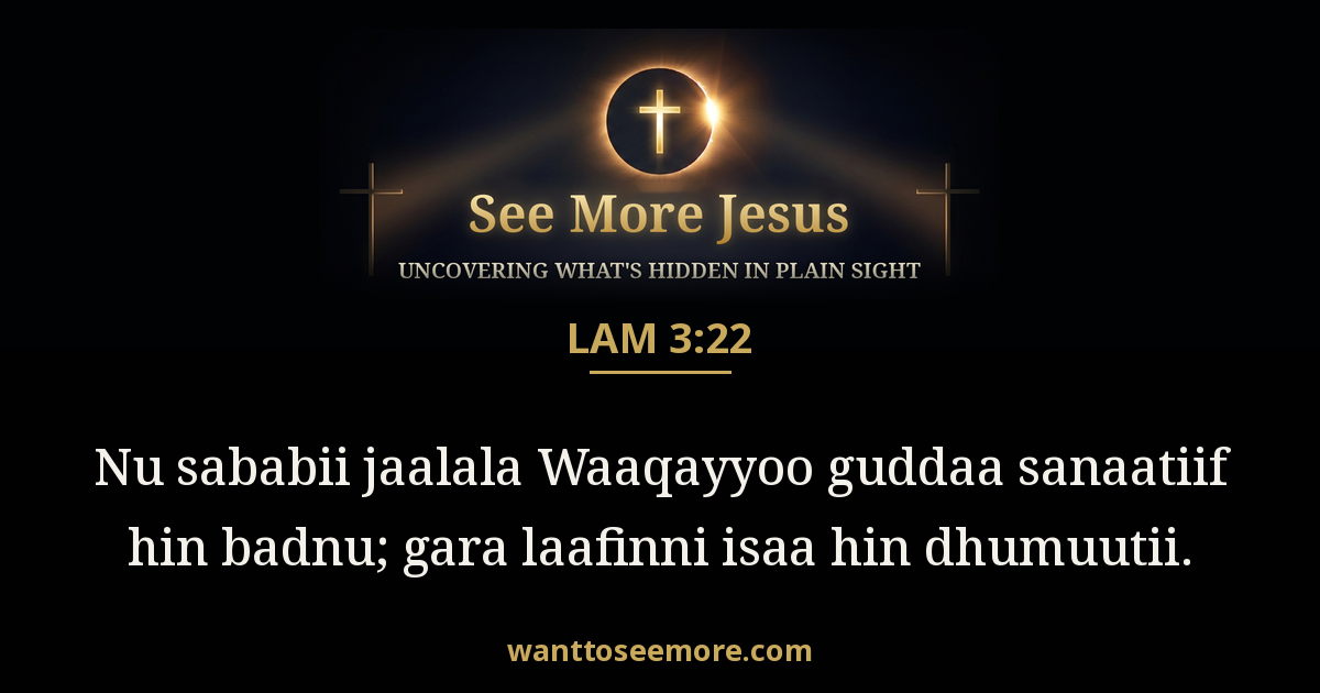 Lamentations 3:22