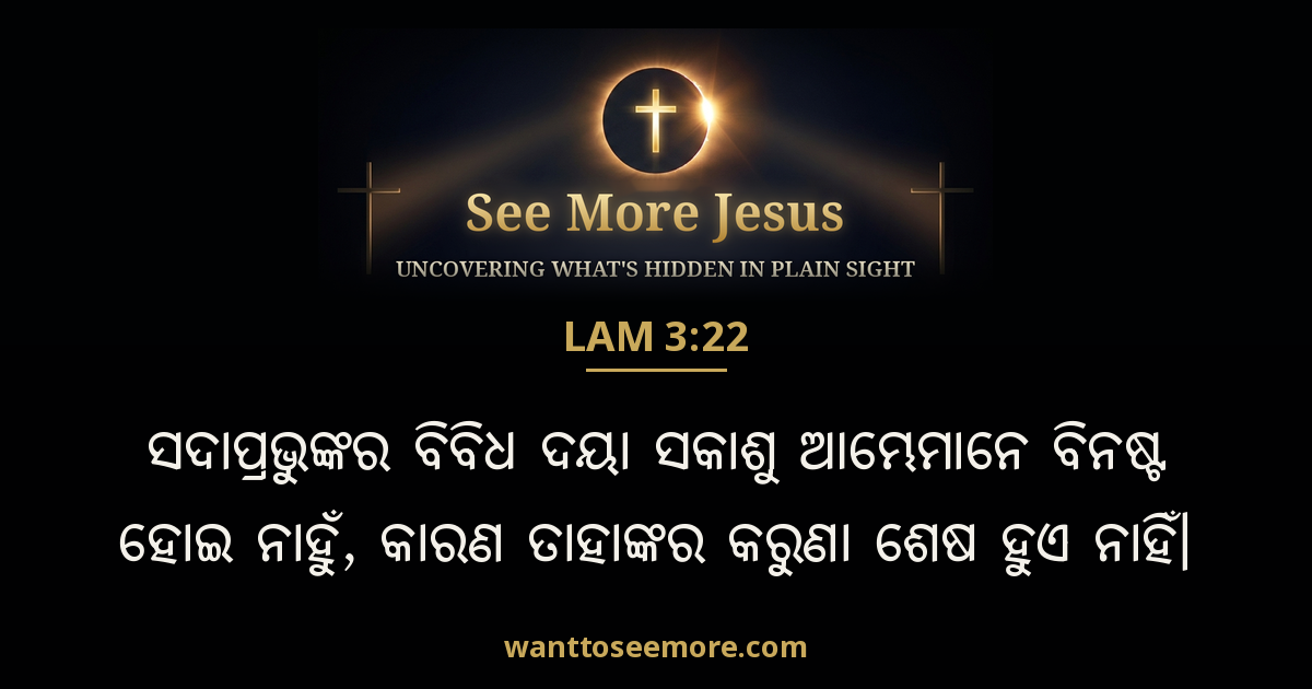 Lamentations 3:22