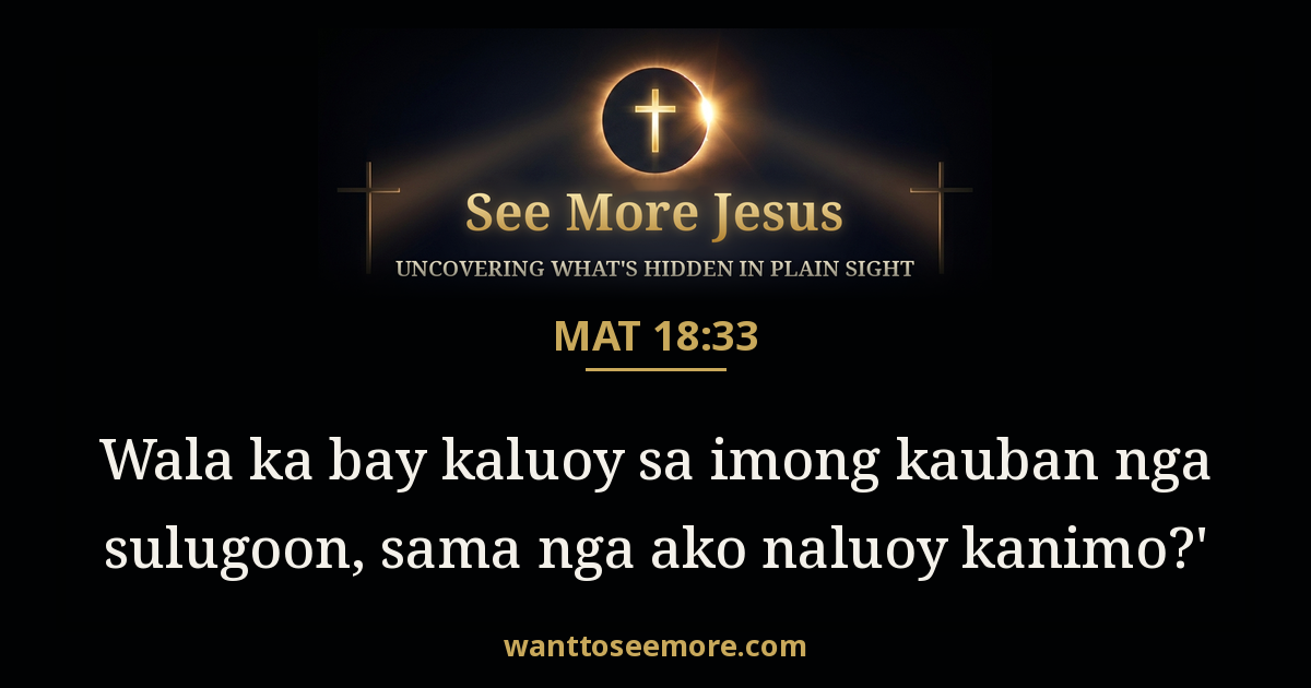 Matthew 18:33