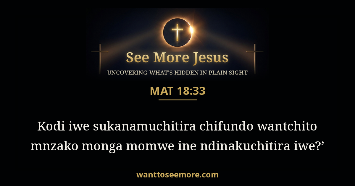 Matthew 18:33