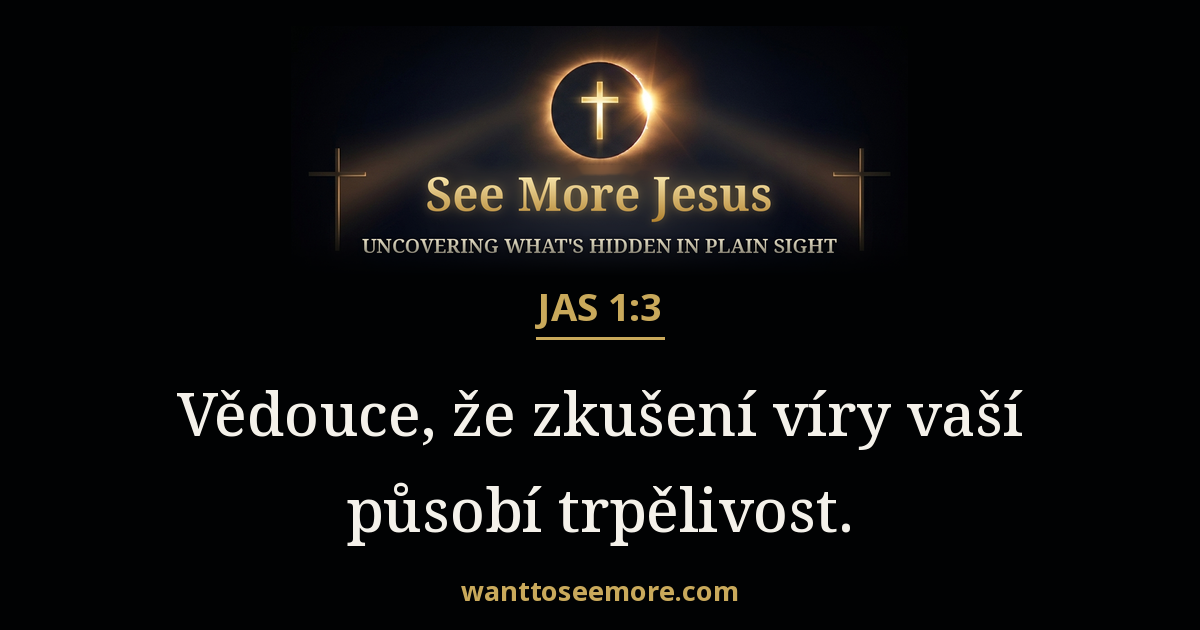 James 1:3